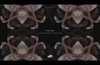 Furkan Sert & Groovez – Seina