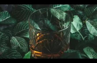 DOC – Teo 2 (Skit)(Original Radio Edit)