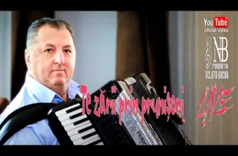 NELUTA BUCUR – Te zarii prin prunisori live