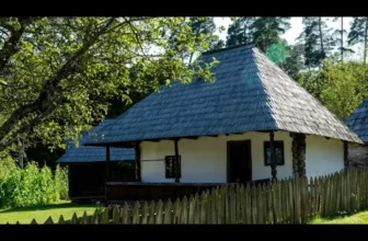 Cantece de strainatate – YouTube Muzica De Petrecere 2022