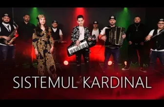 Ionut Kardinalu Jr – Sistemul KARDINAL (Originala 2022)