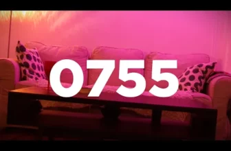 DJ NASA – 0755 ft. Vlad Flueraru & ZDA (Original Radio Edit)