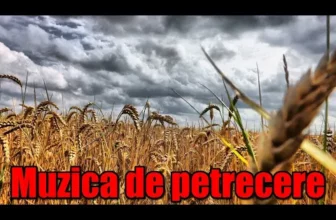 Muzica de petrecere 2021 Cele mai tari Hituri