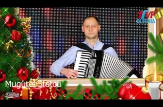 Mugurel Sfetcu – Instrumentala acordeon (Muzica de petrecere 2021)