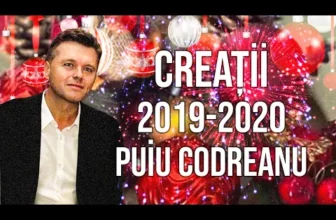 Puiu Codreanu – Colaj PETRECERE