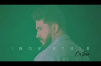 Igor Strib – Zile senine (Original Radio Edit)