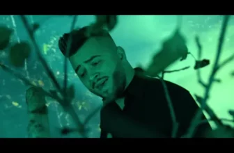 Sake – Nu vorbi de dragoste (Originala 2020)