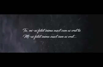 DMC – CUM AI VRUT TU