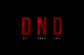 Rey x Amuly x RAVA – DND (Original Radio Edit)