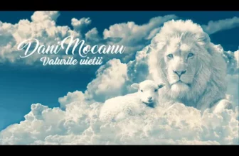 Dani Mocanu – Valurile vietii (Originala 2023)