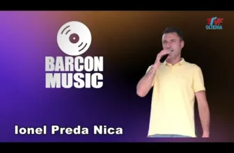 Colaj SARBE – Ionel Preda Nica