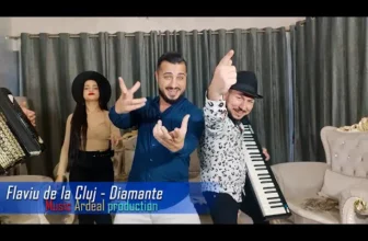 Flaviu de la Cluj – Diamante (Originala 2022)