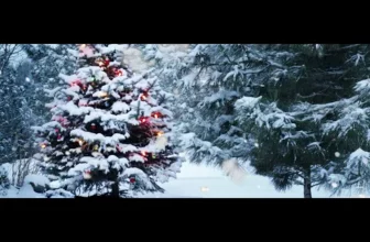 Andreea Socaci – O ce veste minunata Colind