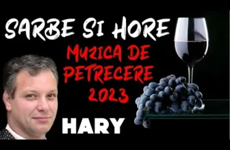 Muzica de Petrecere 2023 – CEL MAI NOU COLAJ DE HORE SI SARBE