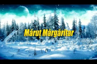 Puiu Fagarasanu – Marut Margaritar – colind