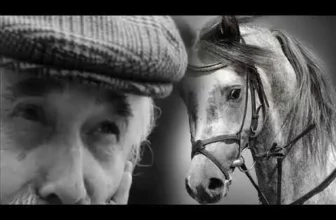 SORINEL DE LA PLOPENI – Colaj muzica lautareasca de pahar 2019