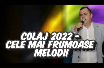Muzica de petrecere 2022 Sarbe 2022 Hore 2022