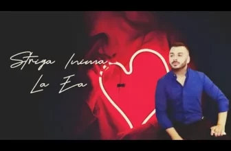 Liviu Guta – Striga la ea