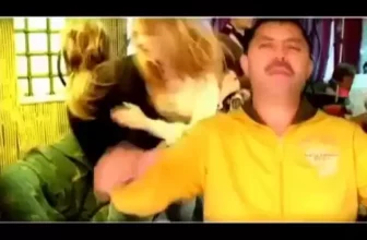 Nicolae Guta – Noi bem spargem pahare (Manele Vechi)