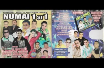 Florin Salam – Mi-e Dor, Mi-e Dor de Privirea Ta