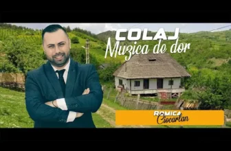 Muzica de petrecere – Melodii de petrecere 2024 ROMICA CIOCARLAN