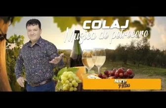 Top muzica de petrecere 2024 NICU ALBU