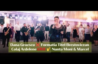 Dana Gruescu x Formatia Titel Brestovicean – Colaj Ardelene