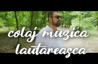 Muzica De Ascultare Tambal si Bass Muzica De Ascultare Colaj