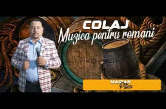 Colaj Petrecere 2024 MARIAN PITICU Cele Mai Noi Melodii