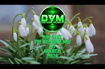 Djs Vibe – The Session Mix 03 (March 2024)