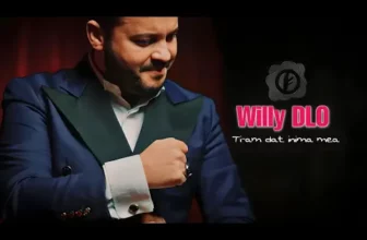 Willy DLO – Ti-am dat inima mea