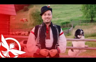 Alexandru Bradatan x Zeno Music – Cand ma latra cainii-n drum (Remix)