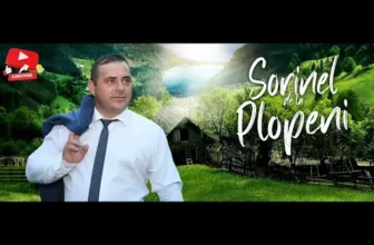 Mixaj – Muzica de petrecere