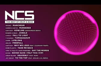 The Best Of Drum & Bass – MIX (NCS Copyright Free Music)