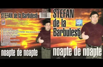 Stefan de la Barbulesti – Noapte de noapte (2003)