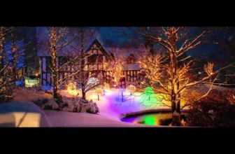 Nicolae Guta – Flori dalbe de mar (Originala 2018)