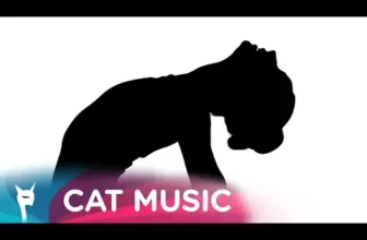 Directia 5 – Amor (Original Radio Edit)