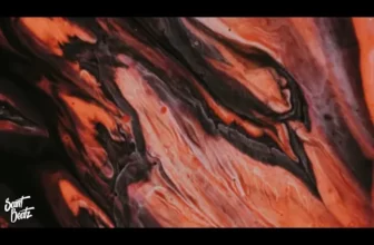 Lost Sky – Fearless pt.II (feat. Chris Linton)