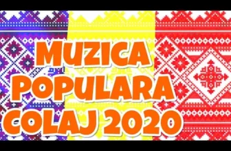 Muzica Populara 2020, Muzica Petrecere