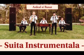 Suita Instrumentala Trupa Art 2020