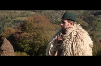 Ioana Ciorea – Frunza verde stejarel NOU 2020