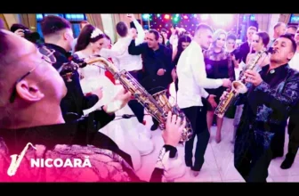 Armin si Petrica Nicoara cu Fane Banateanu – Muzica de Petrecere LIVE