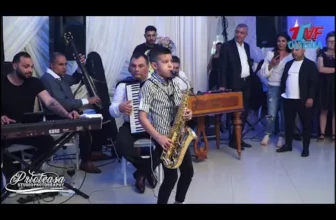 Dani Olan Cel mai al DRACU colaj cu muzica instrumentala pe 2020 Hore si Sarbe la SAXOFON