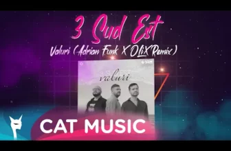 3 Sud Est – Valuri (Adrian Funk X OLiX Remix)