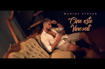Marius Stefan – Cine este vinovat (Originala 2020)