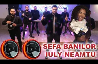 Iuly Neamtu – Sefa banilor (Remix)