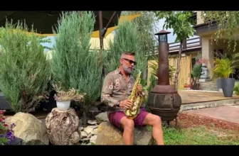 Petrica Nicoara – Doina 2020 (Melodie Originala)