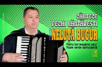 NELUTA BUCUR – Cantece vechi lautaresti 2