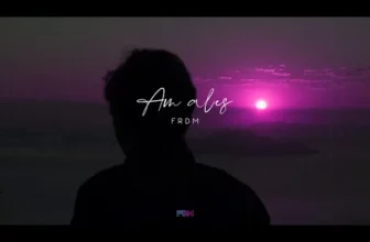 FRDM – Am ales! (Original Radio Edit)