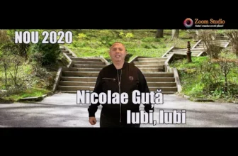 Nicolae Guta – Iubi, Iubi (Originala 2020)